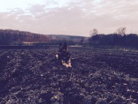 /album/aktivhund/saphira-jpg/