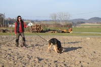 /album/aktivhund/dsc-0067-jpg/