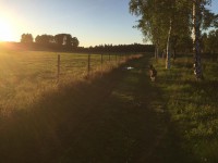 /album/aktivhund/a13615264-1052380964798738-4708695467937521433-n-jpg/